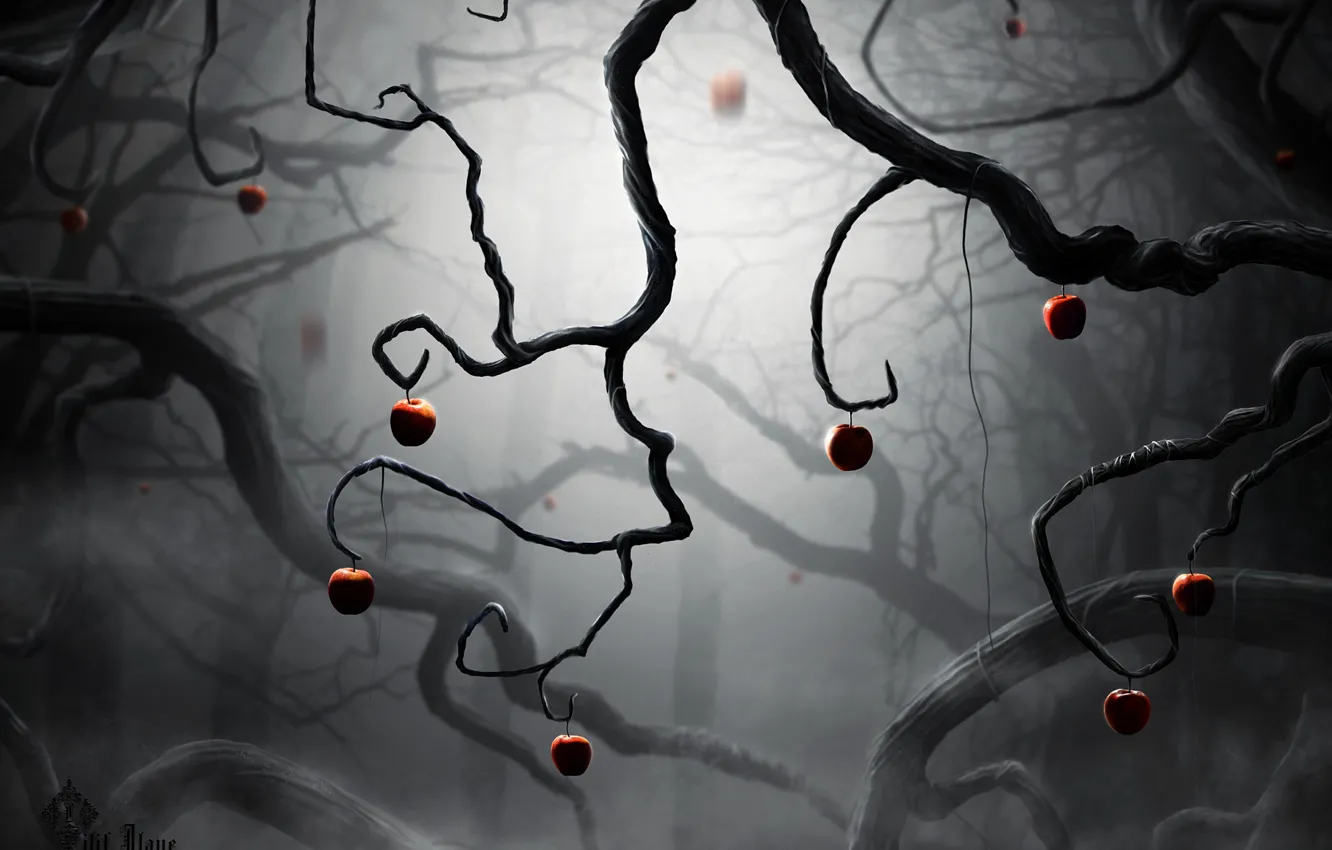 Photo wallpaper trees, branches, fog, branch, the darkness, apples
