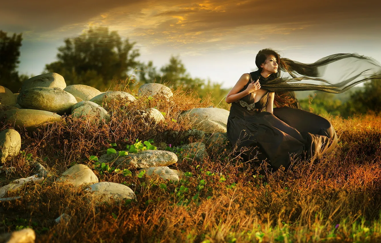 Photo wallpaper girl, background, Asian