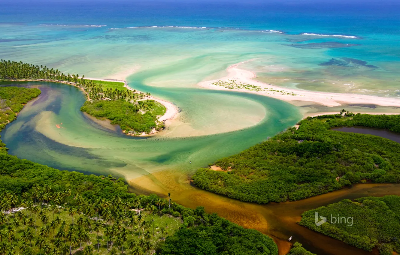 Photo wallpaper river, Brazil, mouth, Tatuamunha