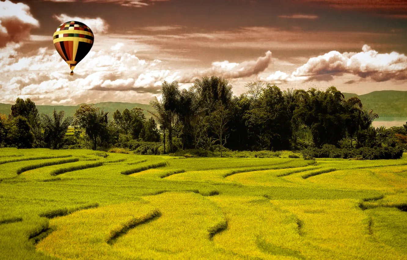 Photo wallpaper Over, Paddies, Ballooning