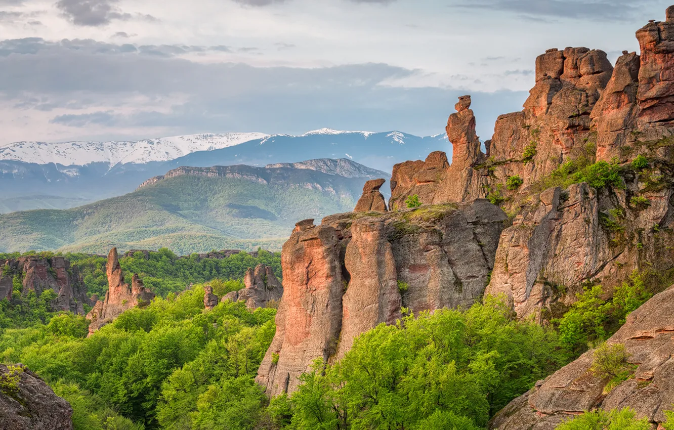 Photo wallpaper forest, the sky, clouds, trees, landscape, mountains, nature, rocks