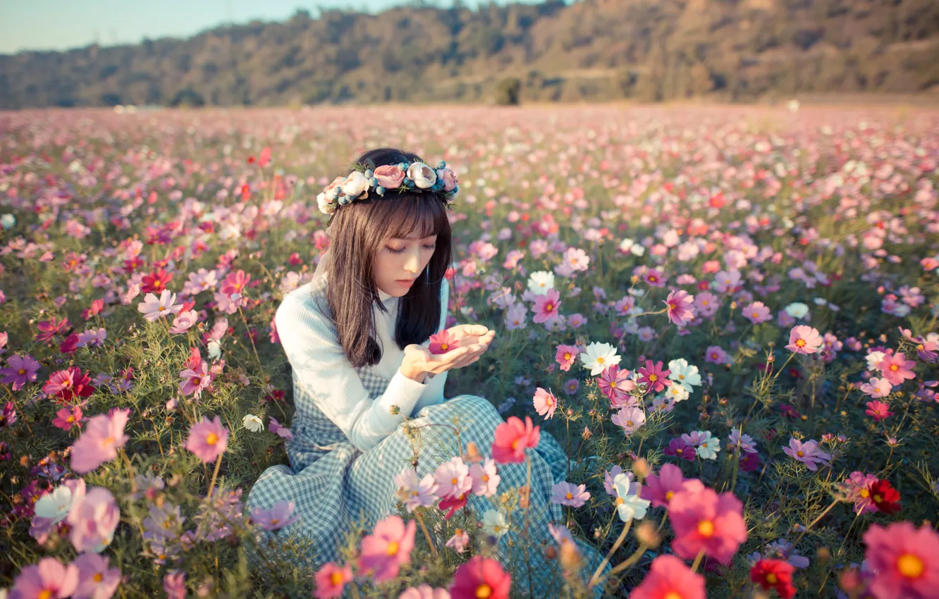 Photo wallpaper field, girl, flowers, mood, meadow, Asian, wreath, kosmeya