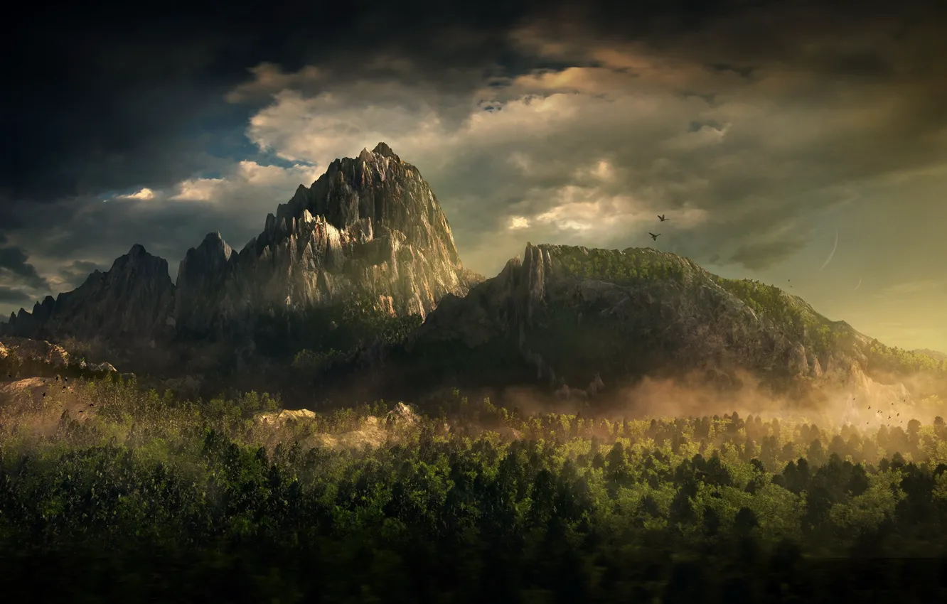 Photo wallpaper forest, clouds, mountains, 158