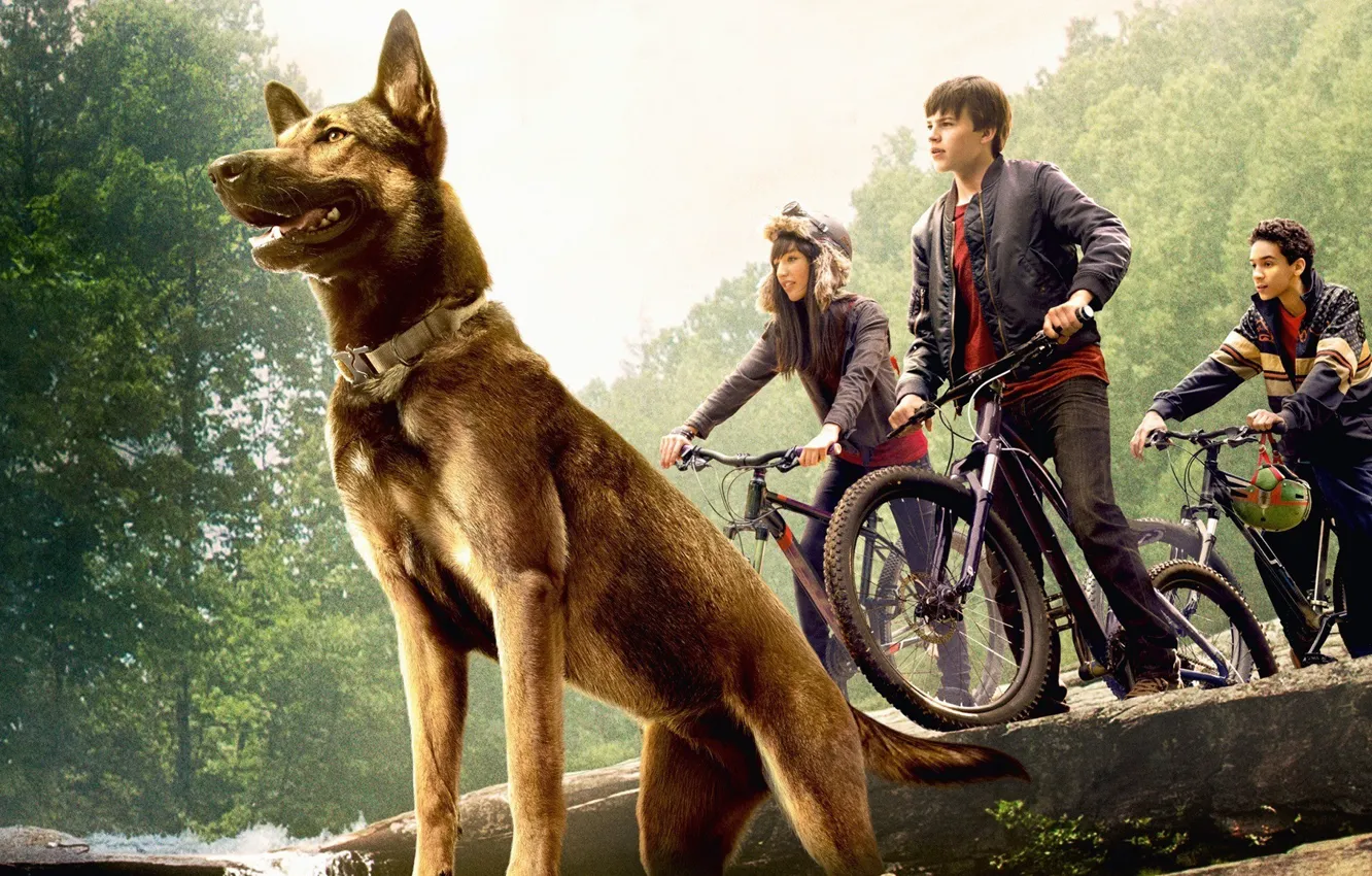 Photo wallpaper cinema, girl, forest, puppy, bike, trees, dog, rocks