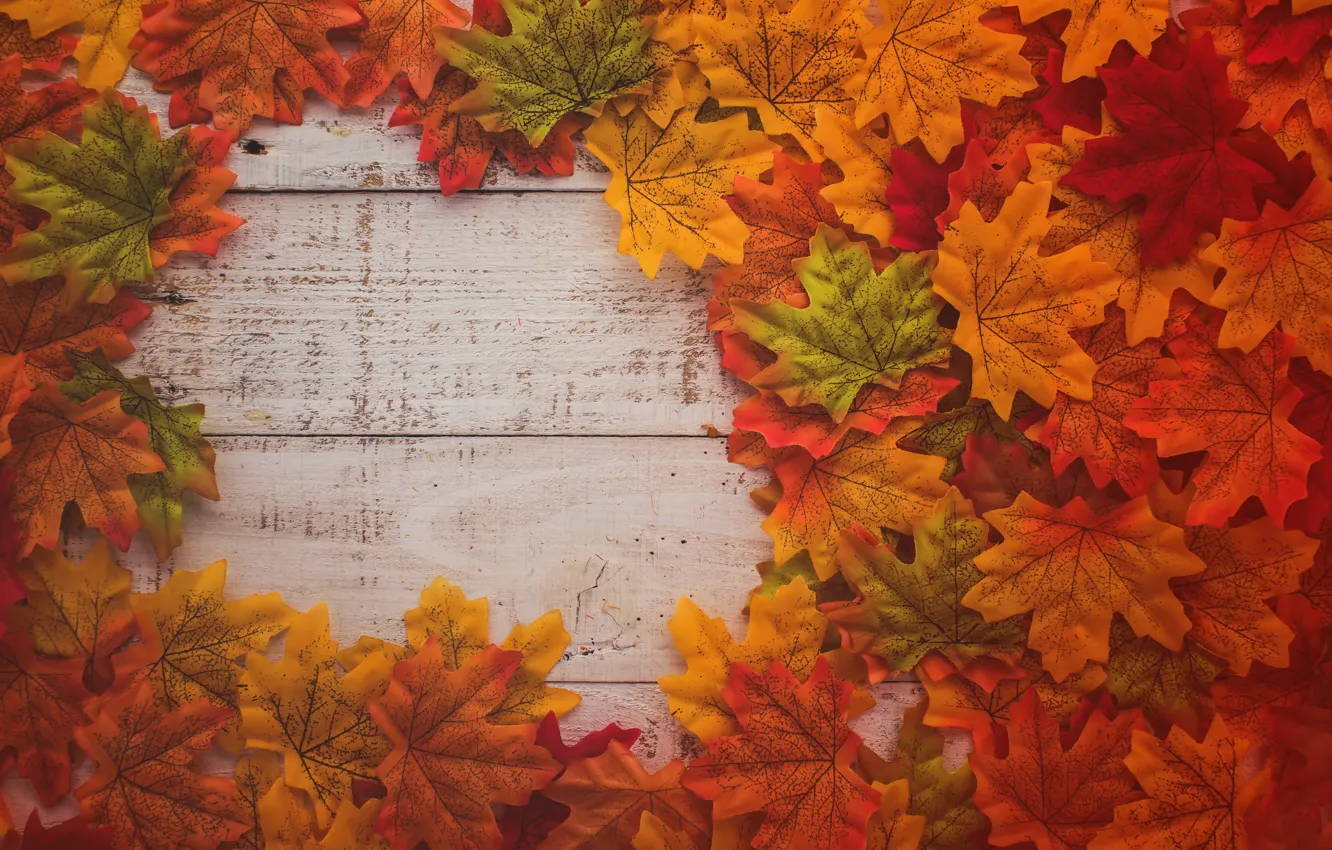 Photo wallpaper autumn, leaves, background, tree, colorful, Board, wood, background