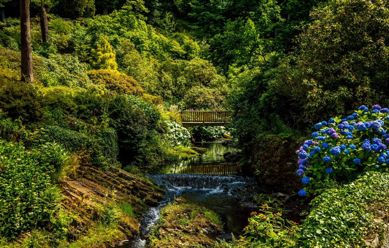 Photo wallpaper greens, trees, bridge, Park, stream, UK, the bushes, Wales