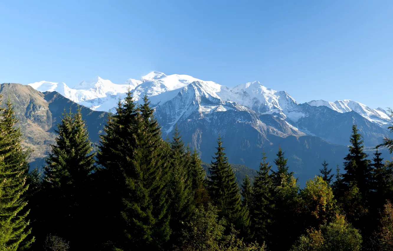 Photo wallpaper mountains, Alps, pine