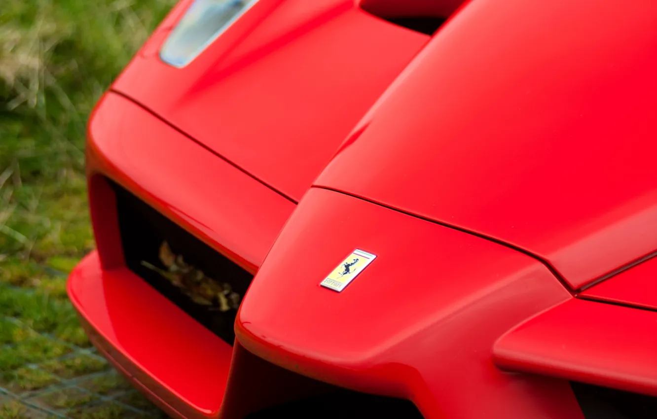 Photo wallpaper Ferrari, logo, Ferrari Enzo, Enzo, close-up, badge