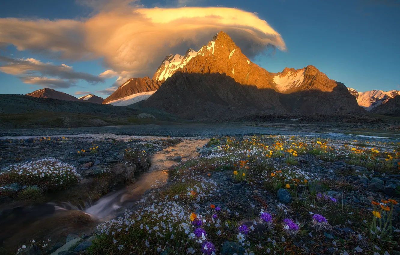 Photo wallpaper the sky, clouds, light, snow, flowers, mountains, yellow, blue