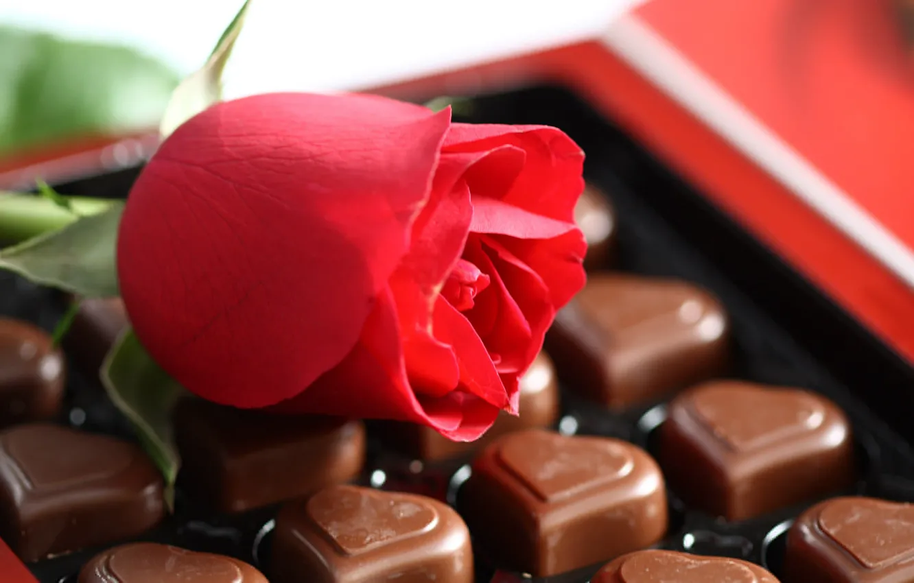 Photo wallpaper macro, love, flowers, red, mood, romance, feelings, chocolate