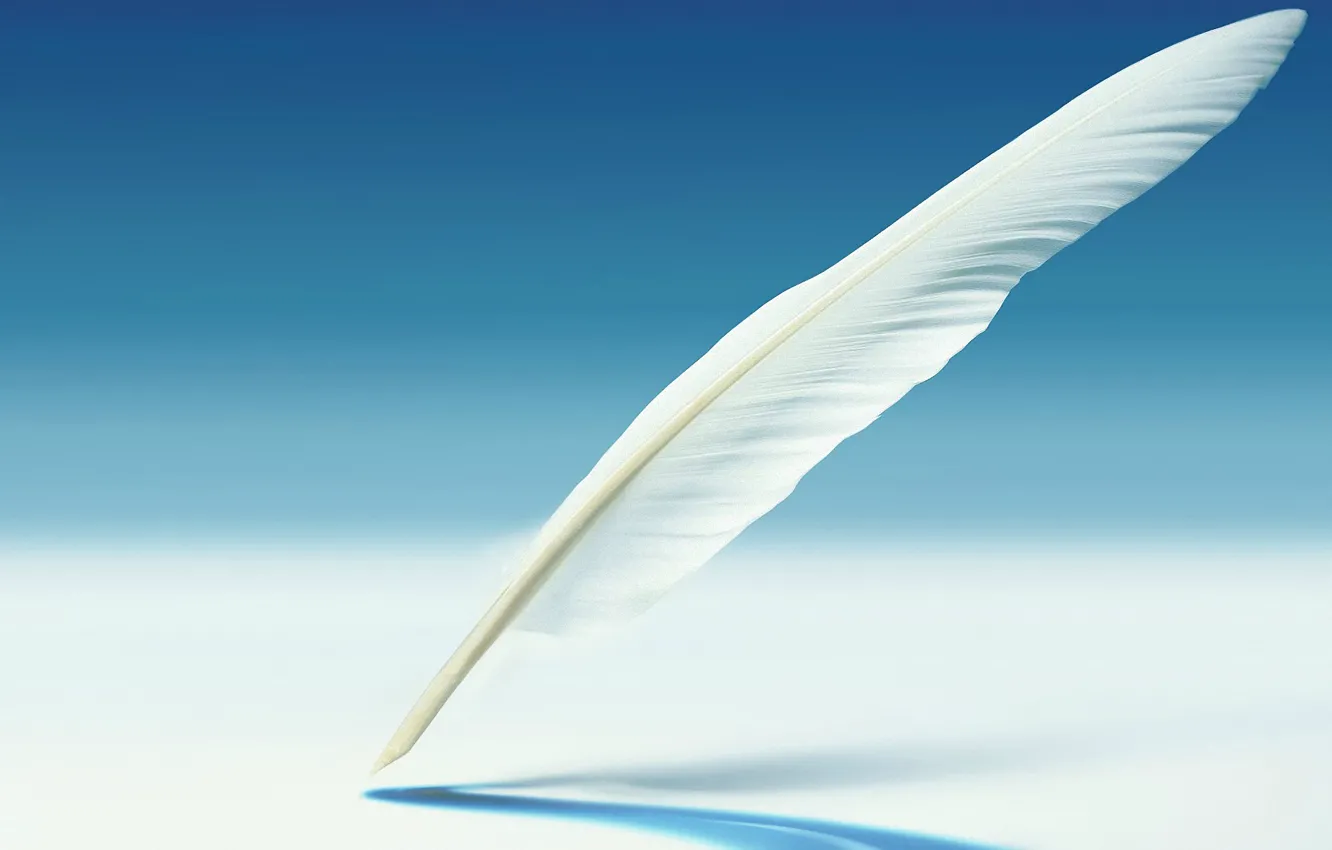 Photo wallpaper background, shadow, feathers, Galaxy Note 2