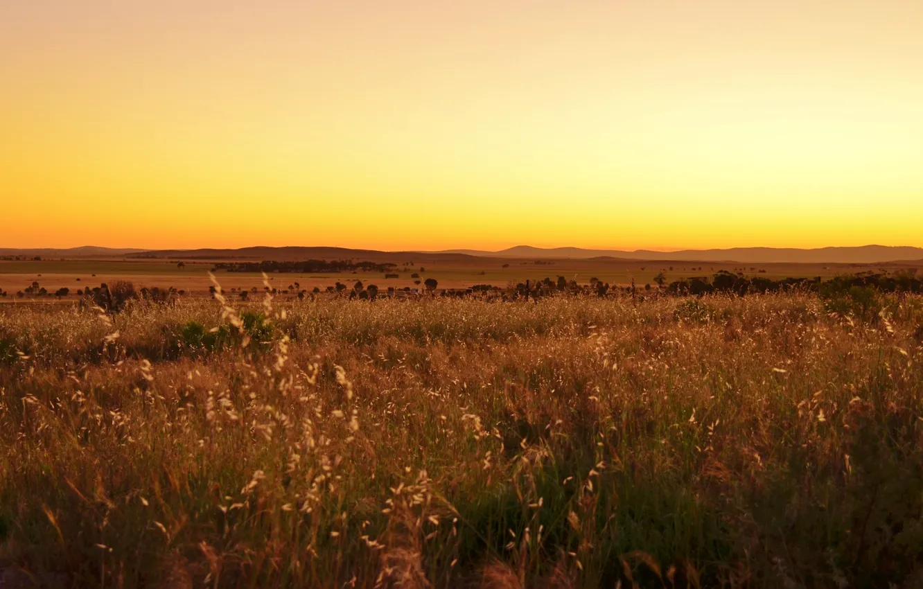 Photo wallpaper field, sunset, hills, valley, horizon, solar, yellow sky