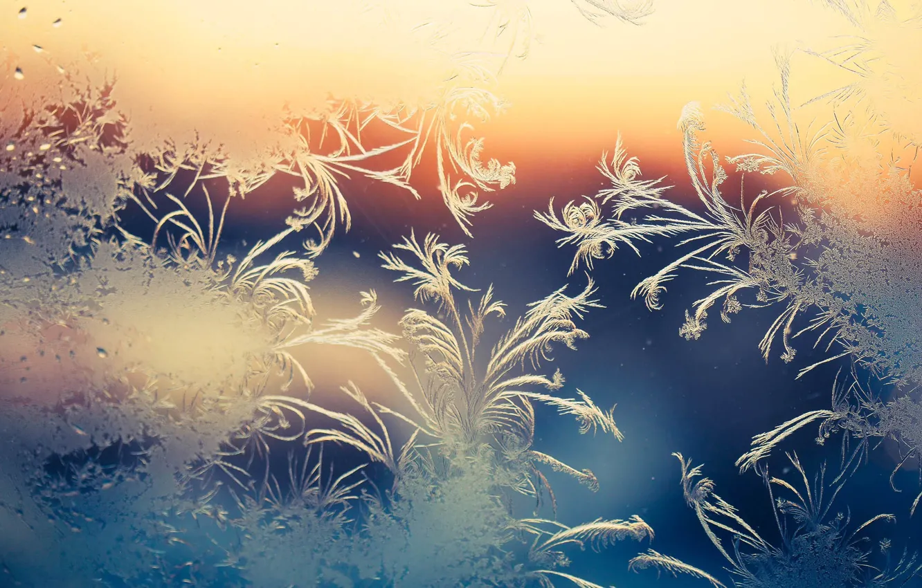 Photo wallpaper winter, frost, glass, patterns