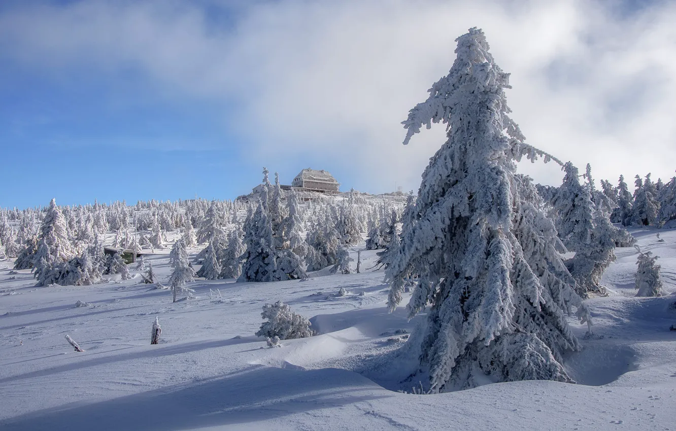 Photo wallpaper winter, forest, the sky, clouds, snow, blue, home, shadow
