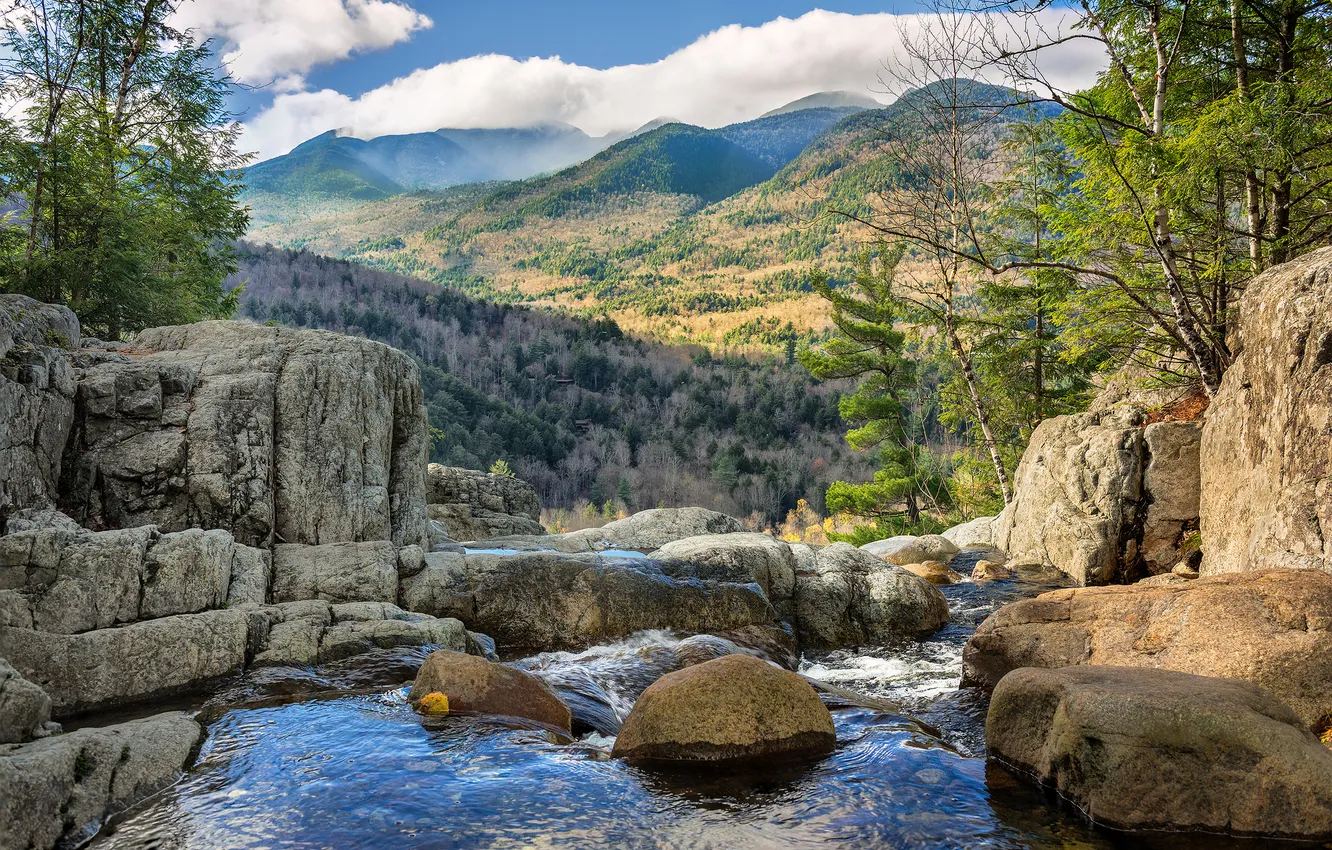 Photo wallpaper trees, landscape, mountains, river, stones, rocks