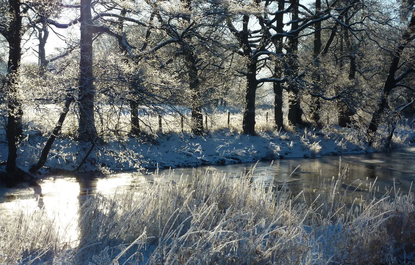 Photo wallpaper winter, grass, snow, trees, river, the fence, Sunny