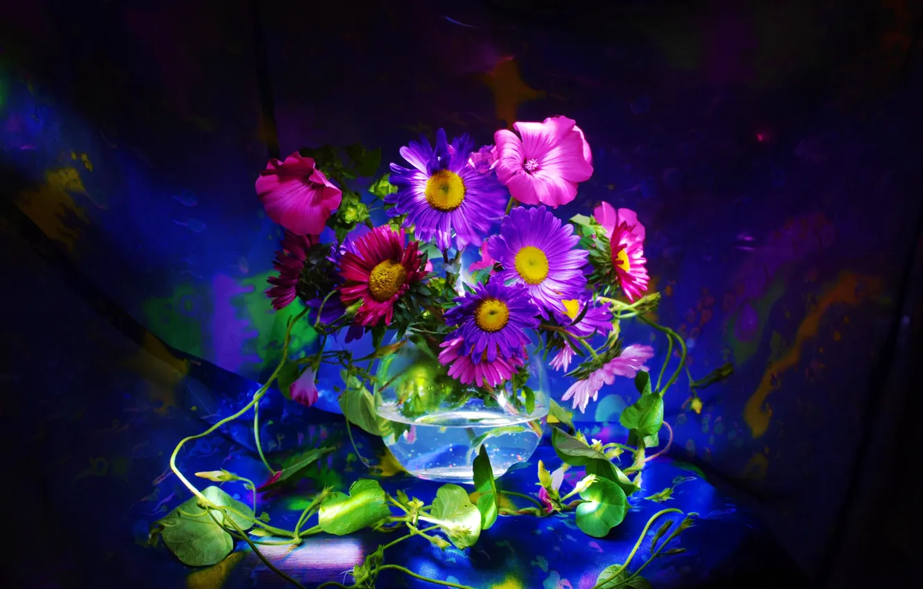 Photo wallpaper background, bouquet, petals