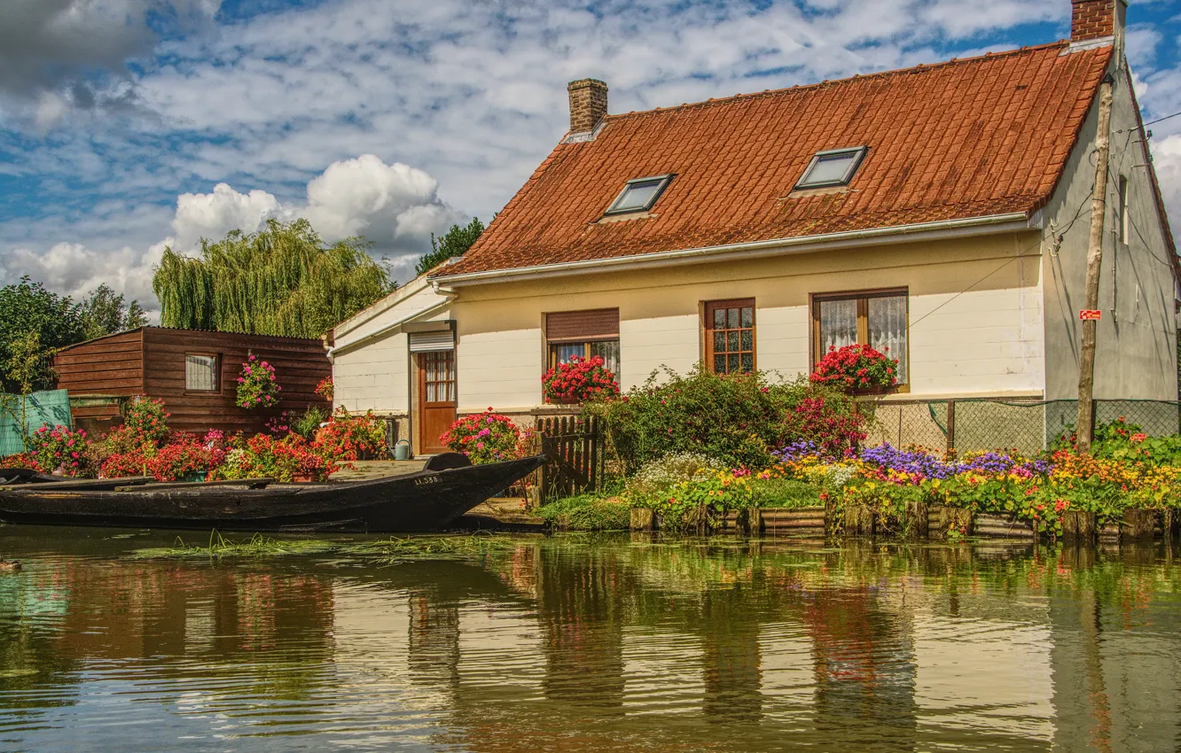 Photo wallpaper greens, summer, clouds, light, flowers, comfort, lake, pond
