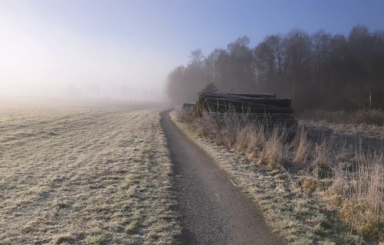 Photo wallpaper frost, field, fog