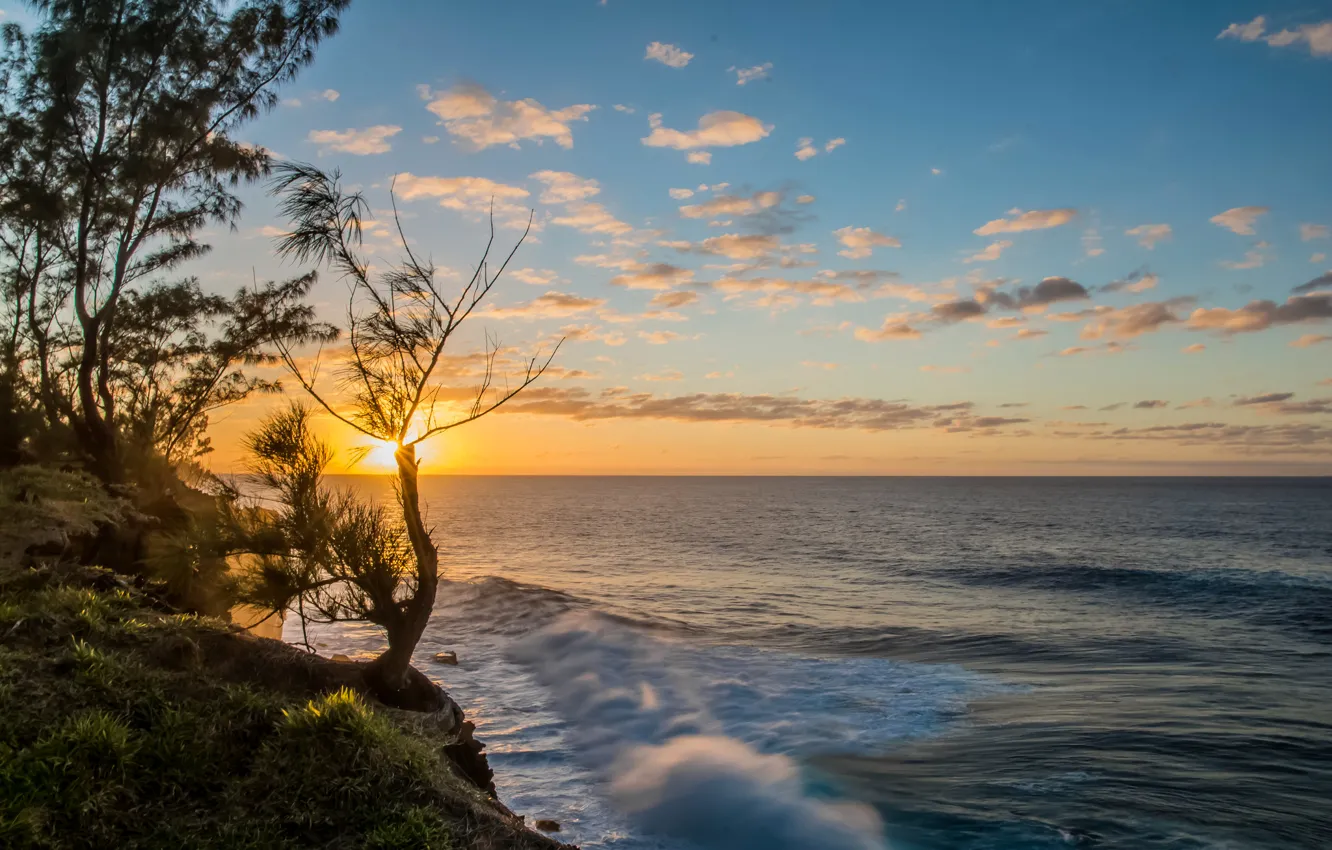 Photo wallpaper sea, the sky, the sun, trees, sunset, shore