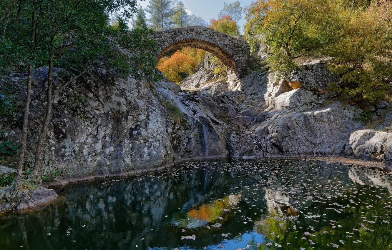 Photo wallpaper autumn, landscape, bridge, nature, lake, arch