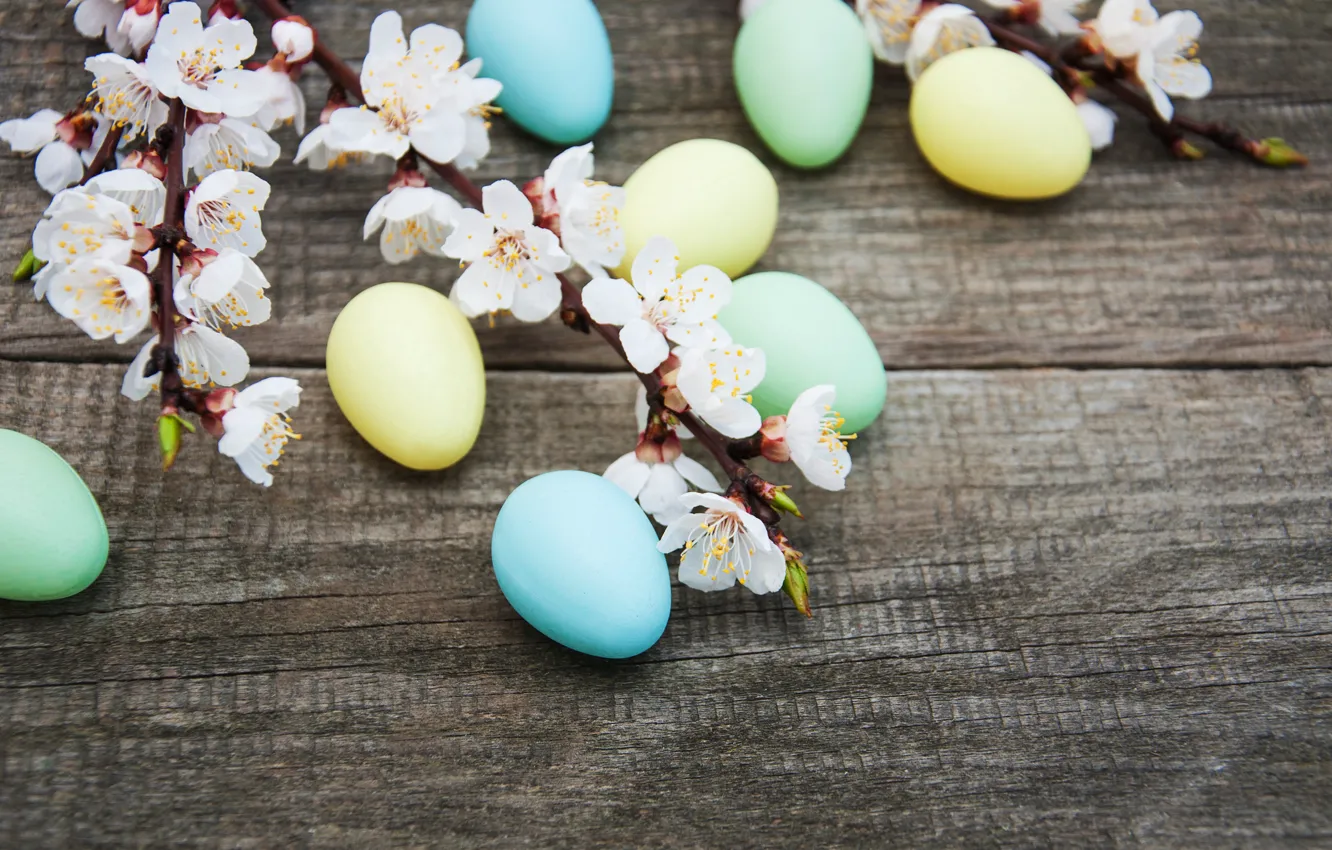 Photo wallpaper flowers, eggs, spring, colorful, Easter, wood, blossom, flowers