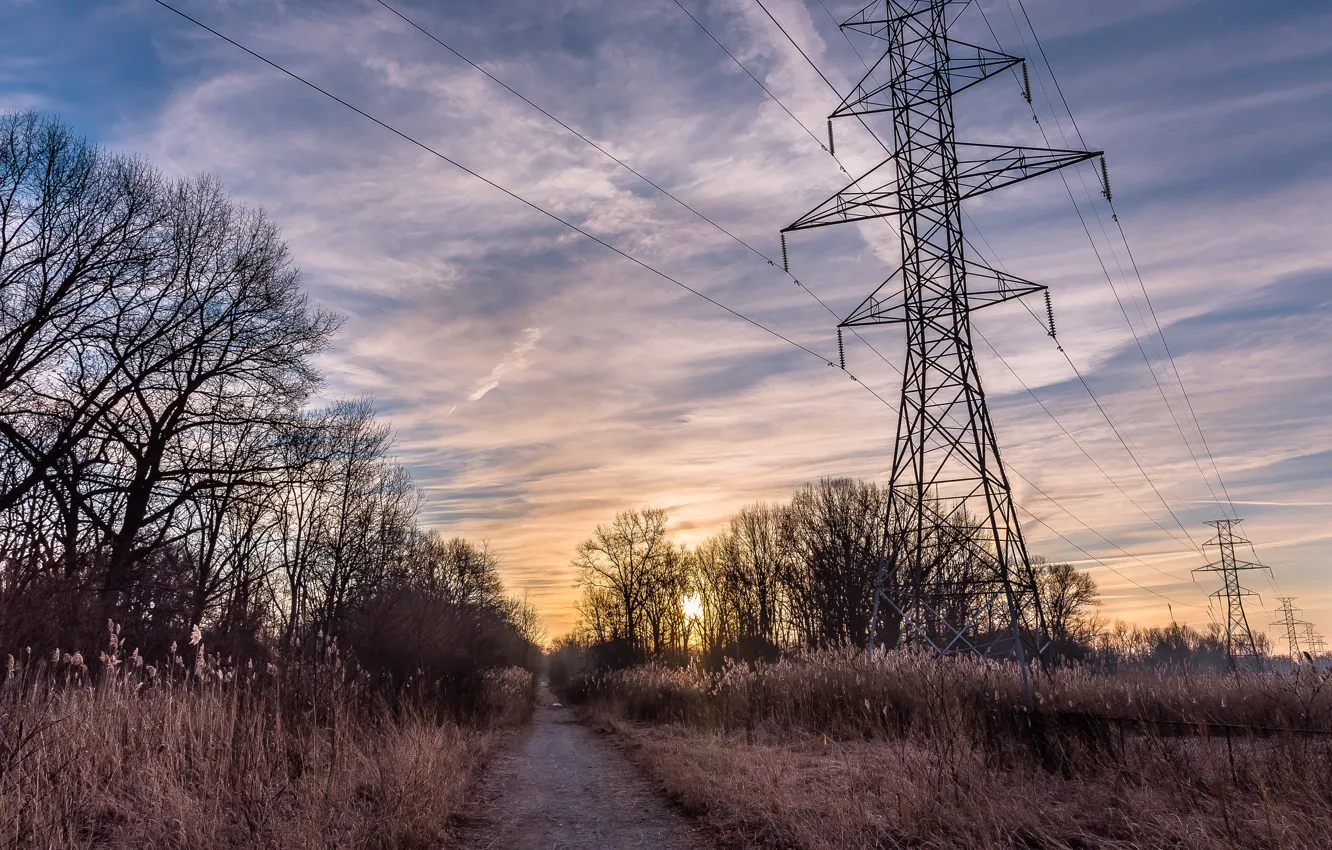 Photo wallpaper fog, morning, power lines