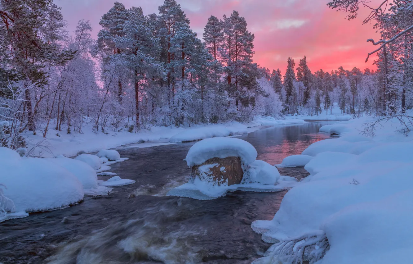 Photo wallpaper winter, forest, snow, river, dawn, morning, the snow, Russia