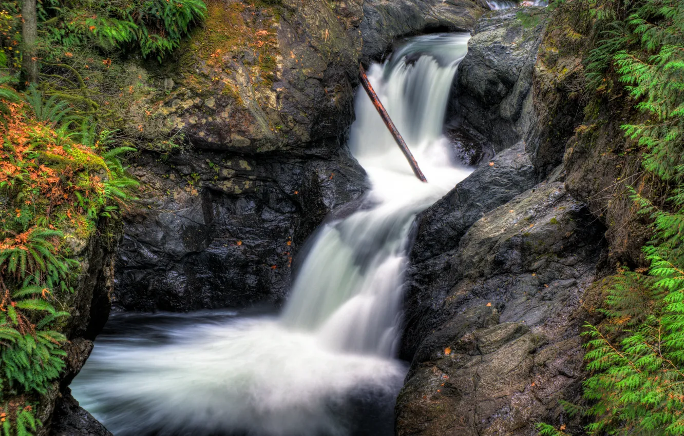 Photo wallpaper Waterfall, Rocks, Waterfall