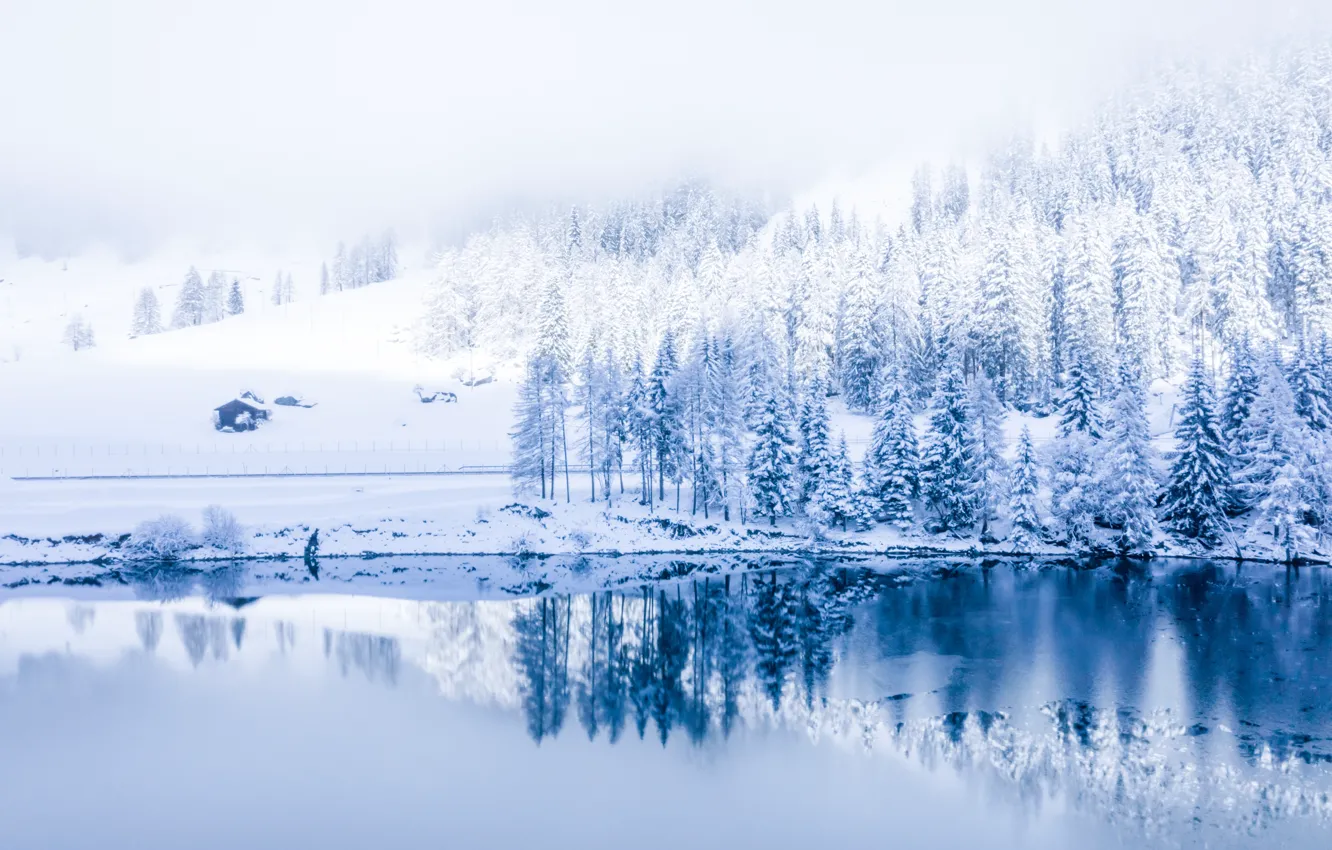 Photo wallpaper winter, snow, trees, landscape, mountains, river, tree, forest