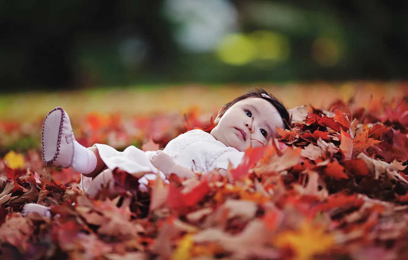 Photo wallpaper autumn, leaves, mood, girl