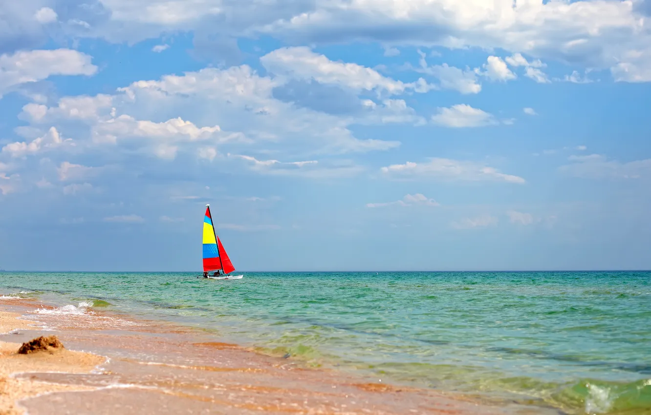 Wallpaper sea, beach, shore, sailboat, summer, beach, sea, sail boat ...