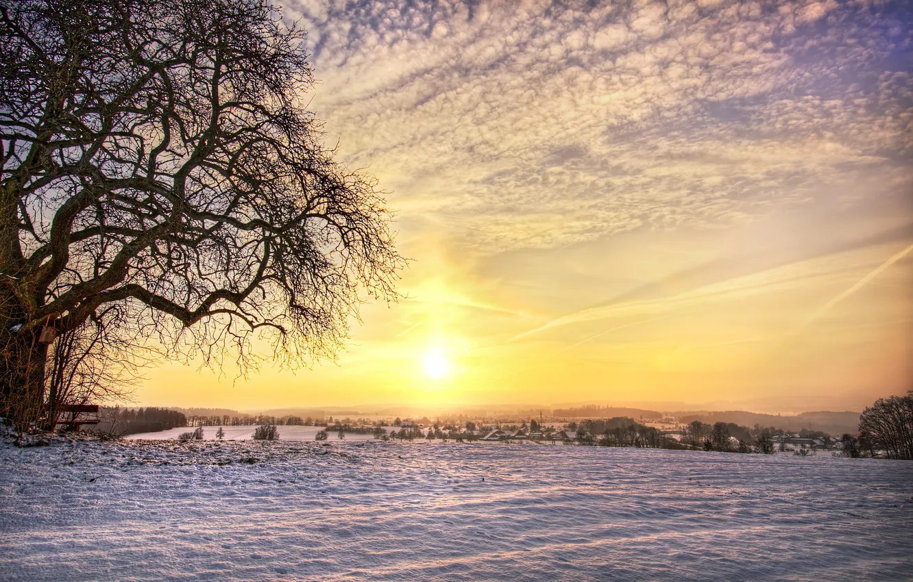 Photo wallpaper winter, field, snow, trees