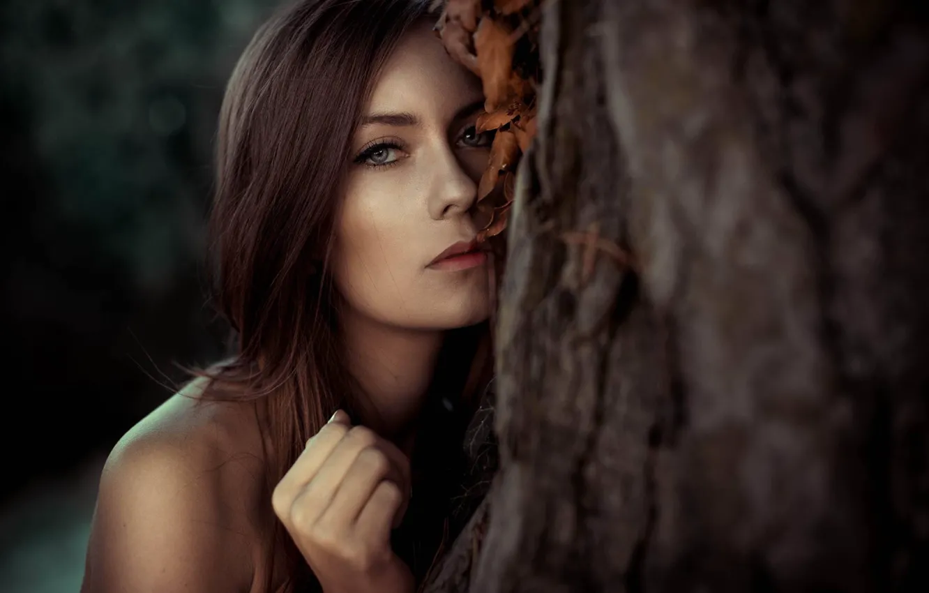 Photo wallpaper look, trees, face, model, portrait, light, brown hair, shoulders
