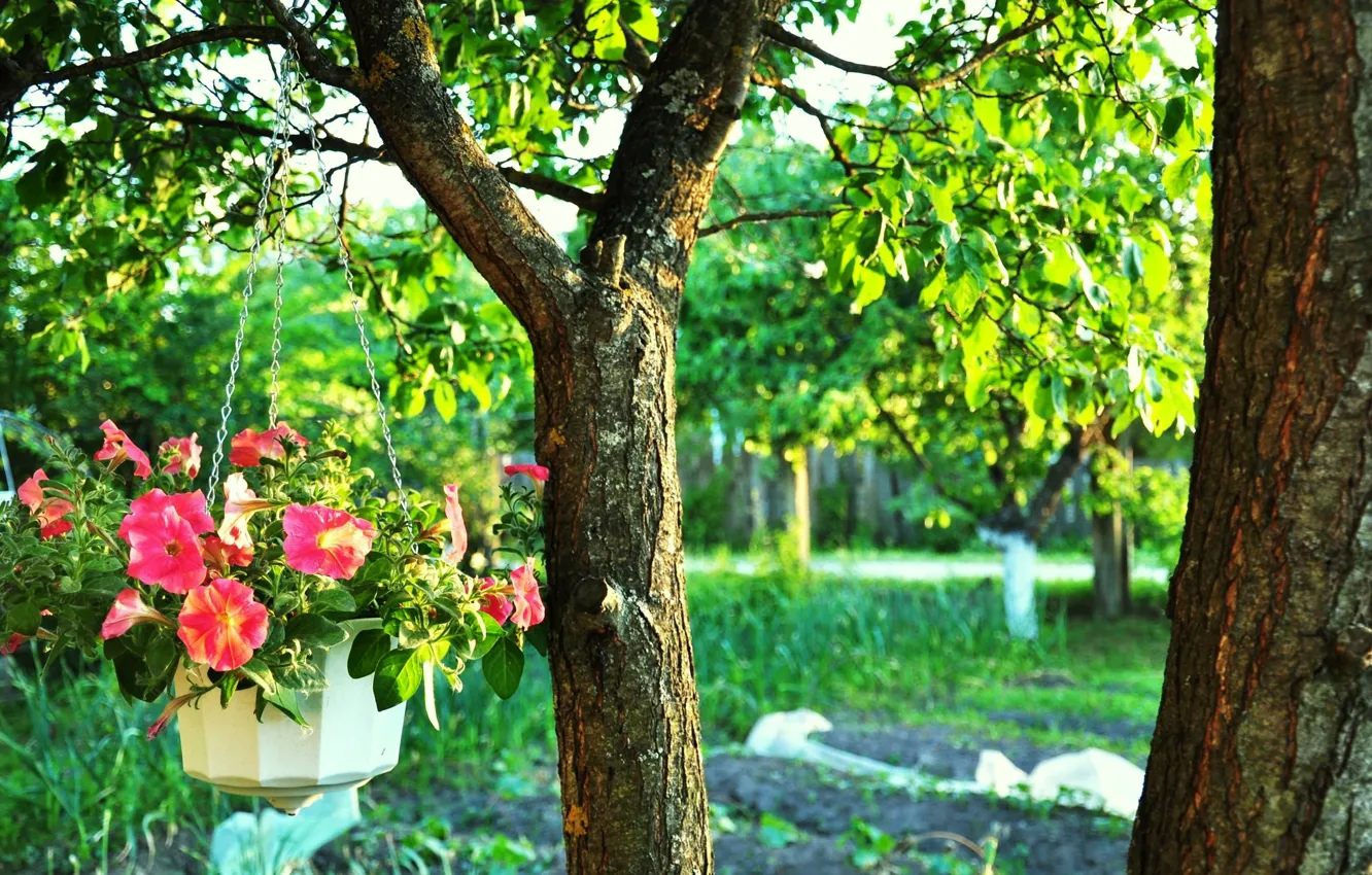 Photo wallpaper greens, leaves, bright colors, trees, flowers, branches, branch, foliage