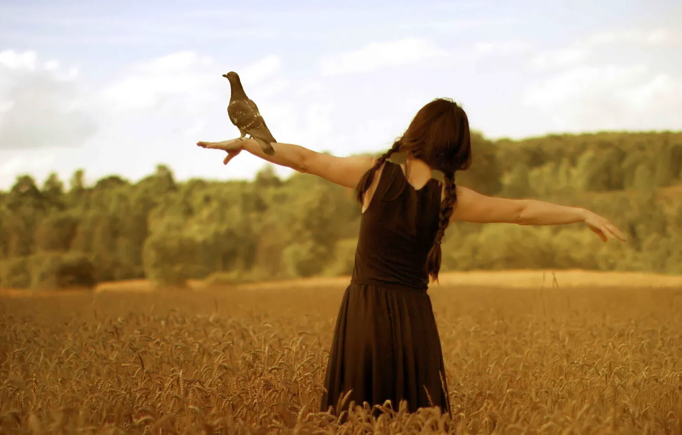 Photo wallpaper field, freedom, girl, bird, installation