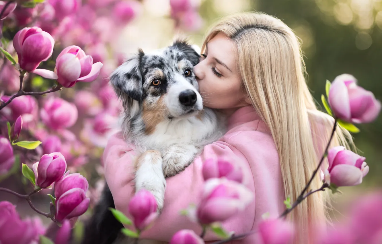Photo wallpaper girl, flowers, kiss, dog, spring, Magnolia