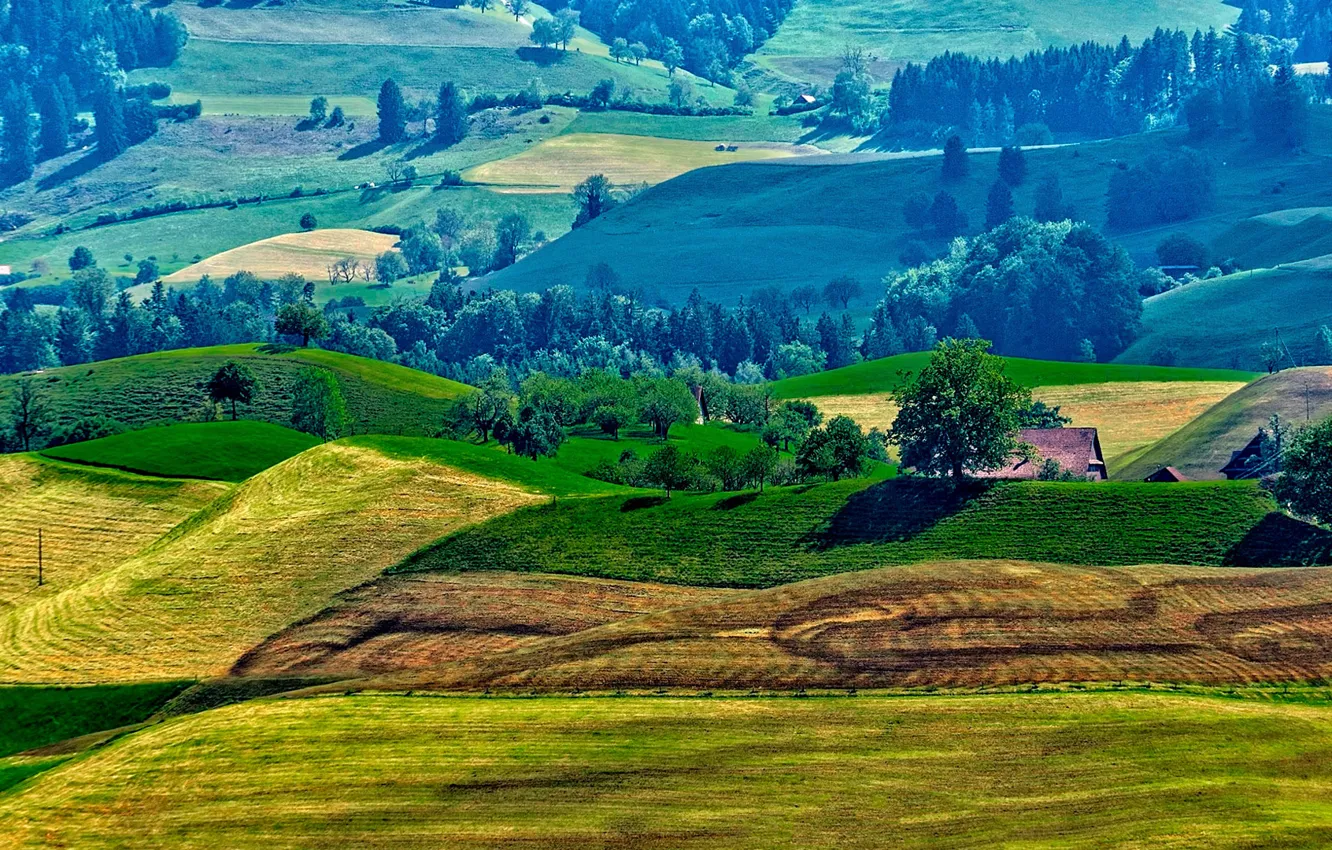 Photo wallpaper roof, field, grass, trees, hills, home