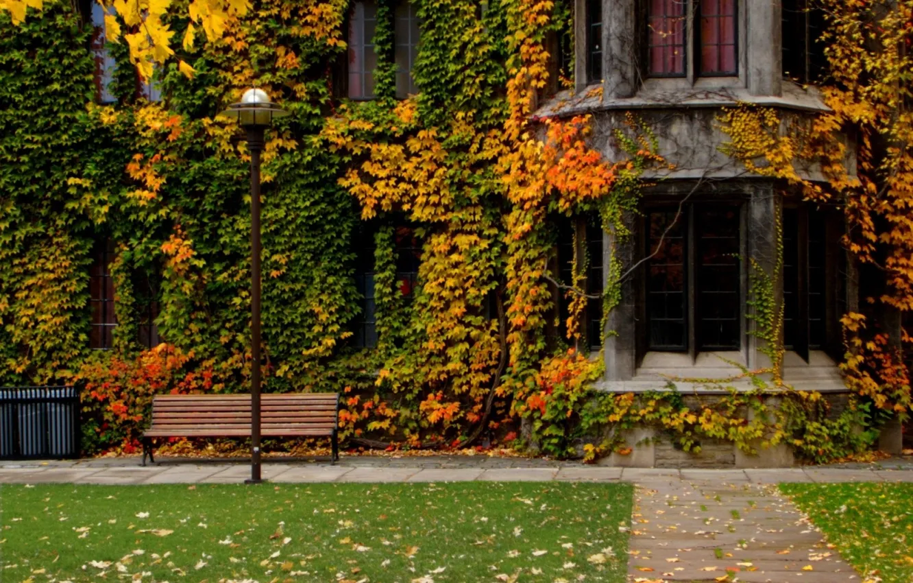 Photo wallpaper grass, leaves, bench, orange, nature, yellow, castle, lawn