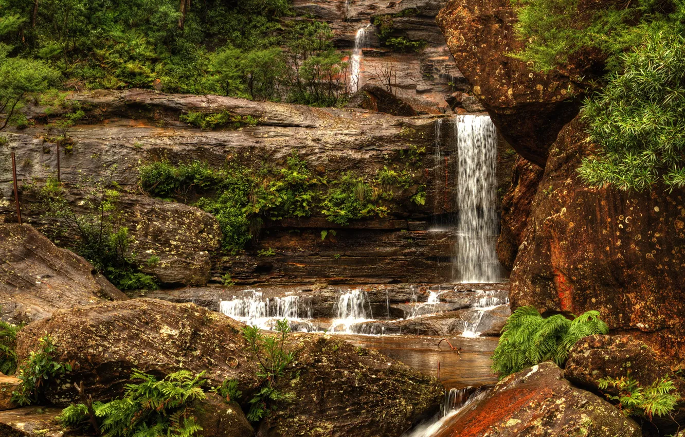 Photo wallpaper stones, waterfall, Australia, the bushes, Wentworth Falls