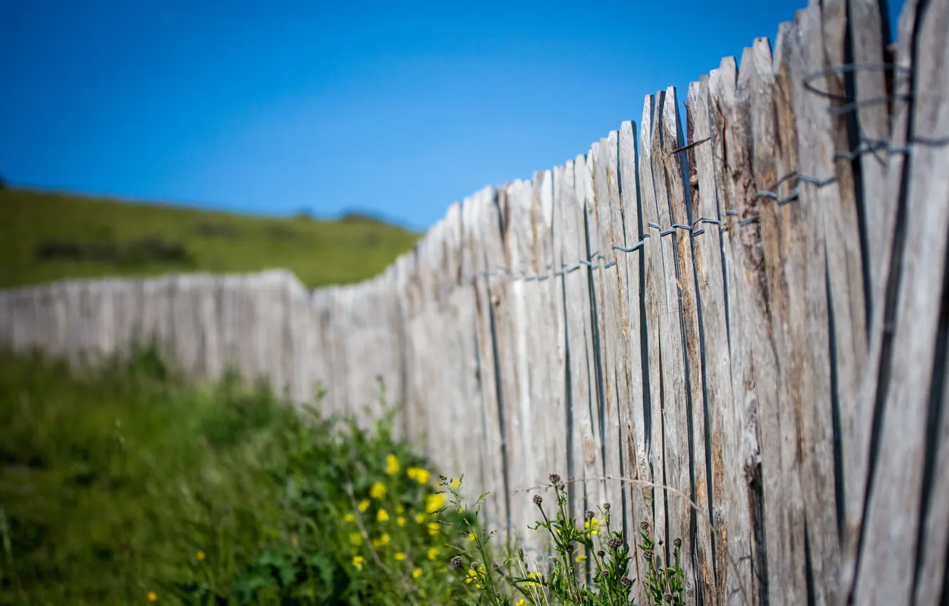 Photo wallpaper the fence, Macro, macro