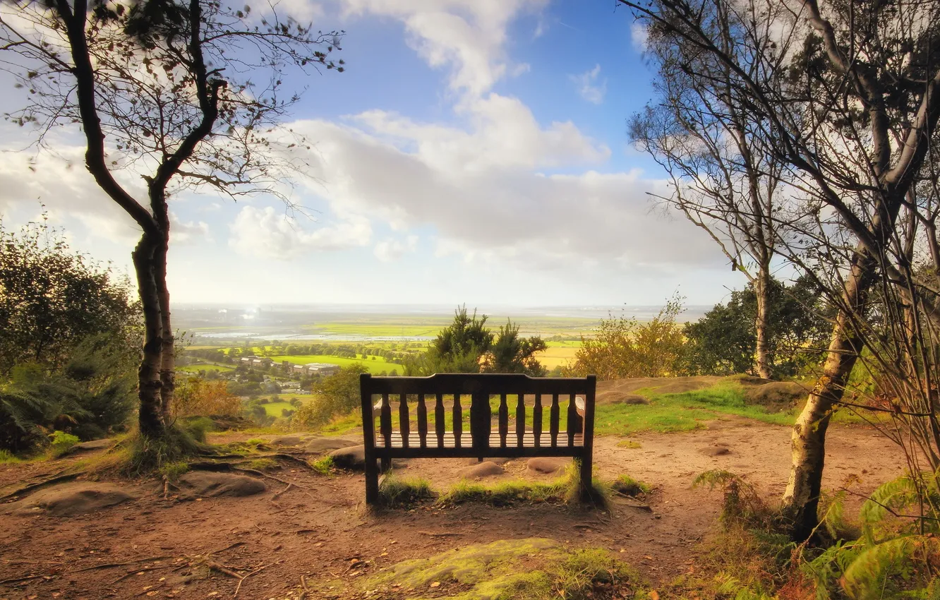 Photo wallpaper landscape, nature, bench