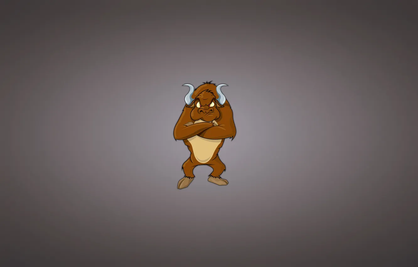 Photo wallpaper horns, serious, bull, bull, dark background, charity