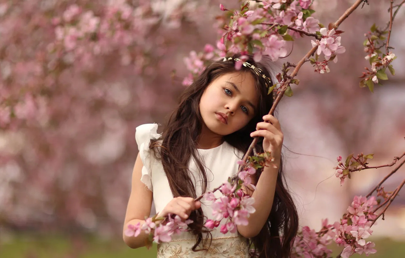 Photo wallpaper branches, cherry, mood, spring, girl, flowering, flowers, bokeh