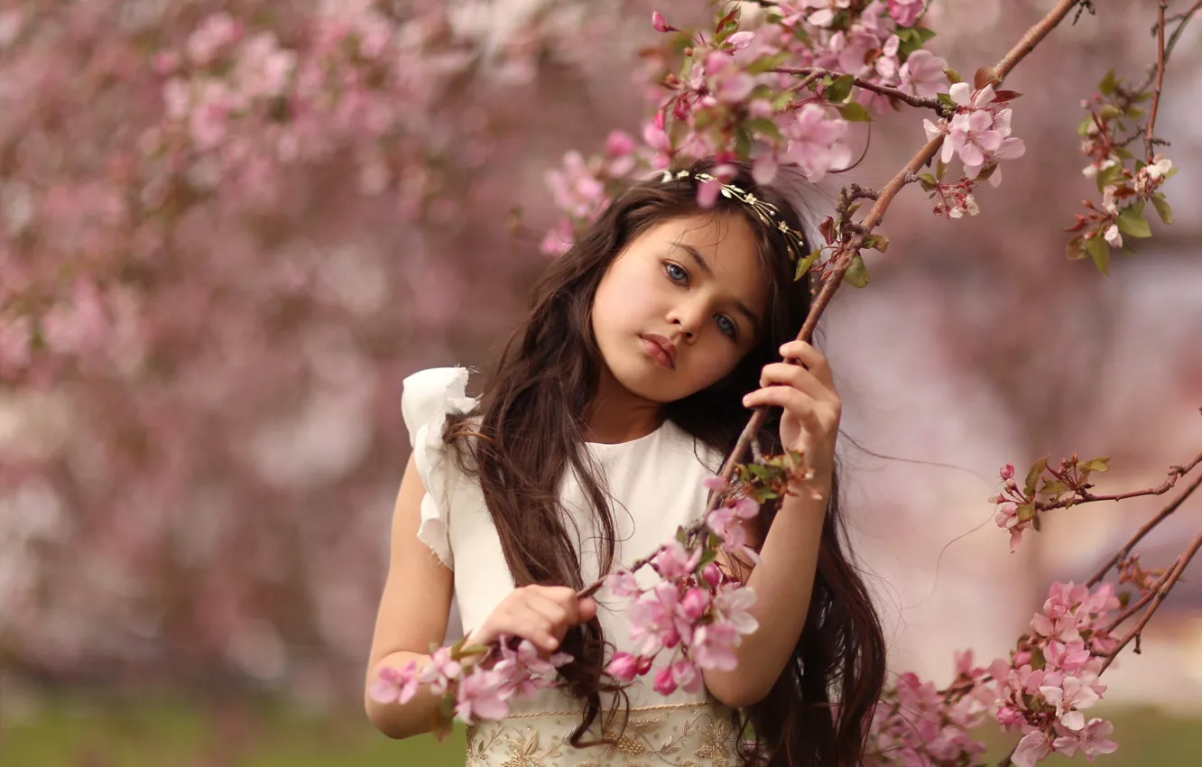 Photo wallpaper flowers, branches, cherry, mood, spring, girl, flowering, bokeh