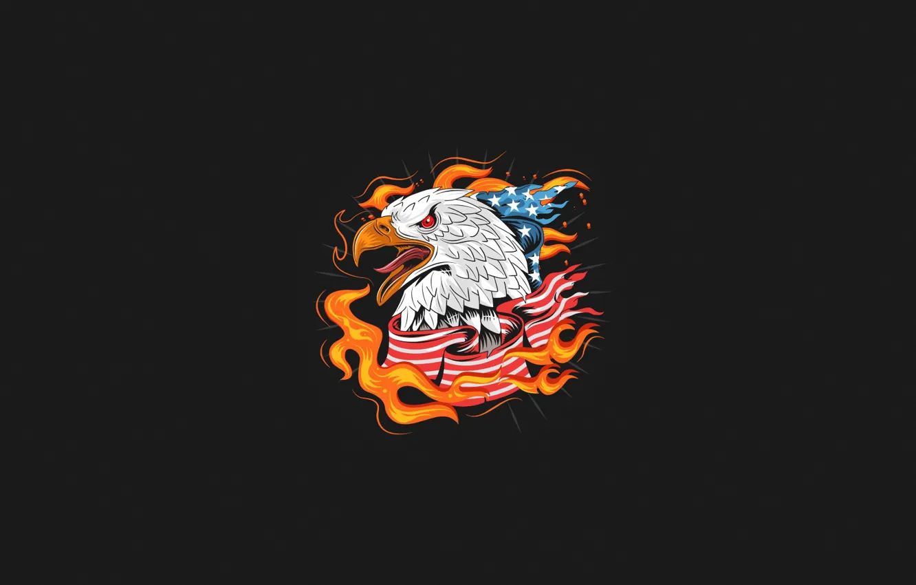 Photo wallpaper Minimalism, Bird, Fire, Style, Flag, Eagle, Background, USA