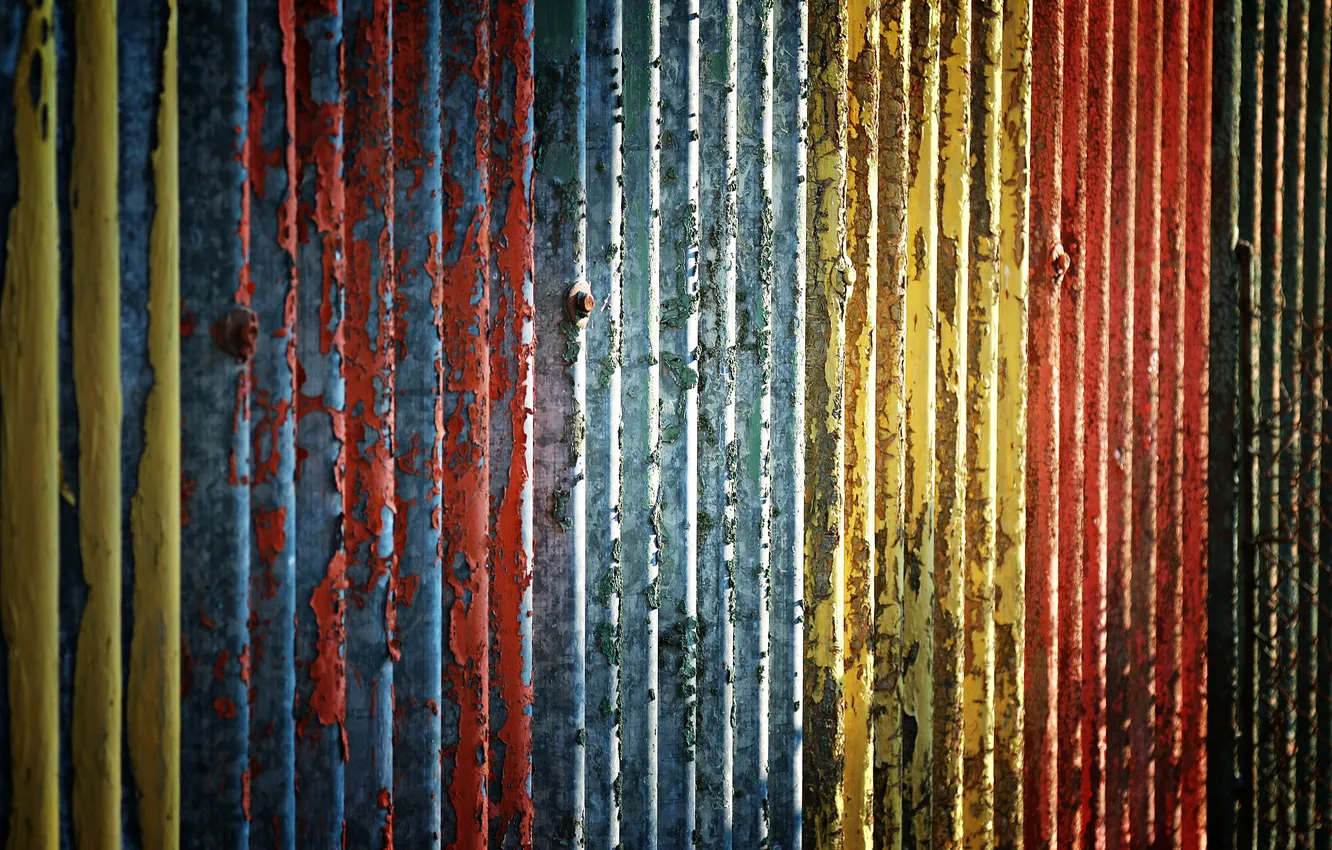 Photo wallpaper paint, wear, peeling, veneers