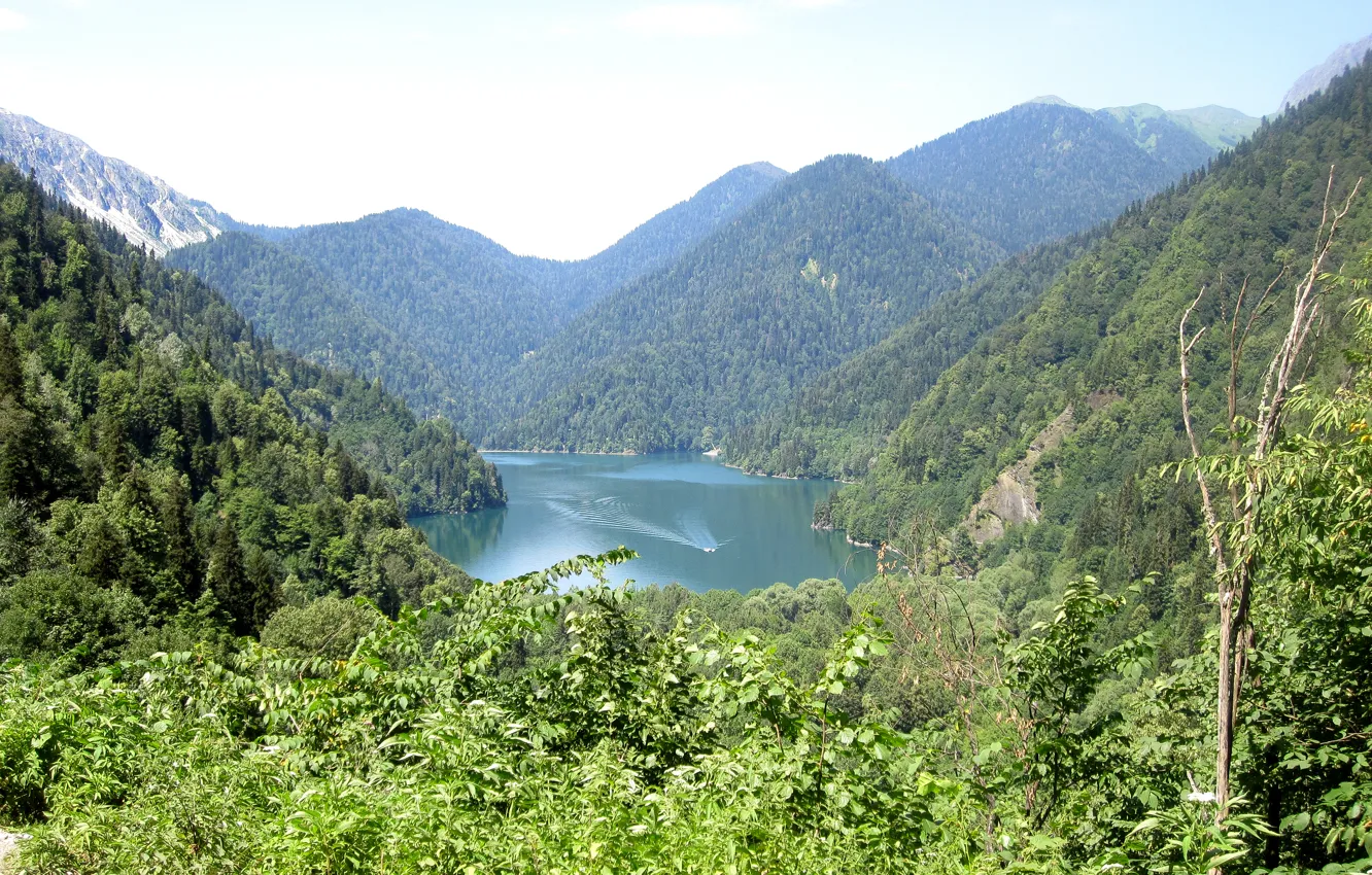 Photo wallpaper greens, summer, water, the sun, trees, nature, lake, Abkhazia