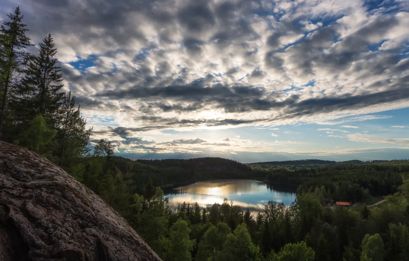 Photo wallpaper forest, the sky, clouds, lake, Sweden