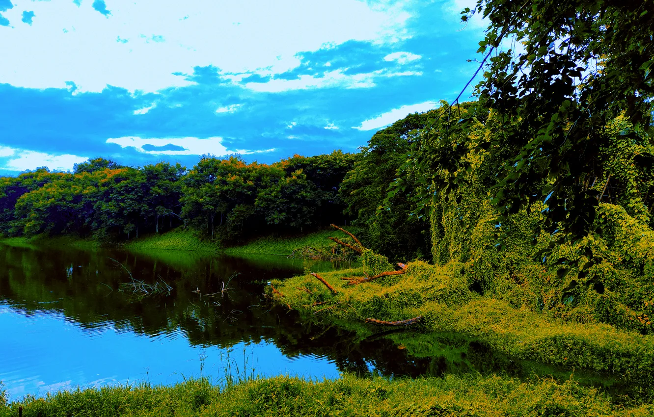 Photo wallpaper grass, sky, trees, water, lake, morning, sunrise, dawn